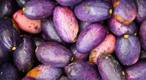 SAFOU / PRUNE AFRICAINE