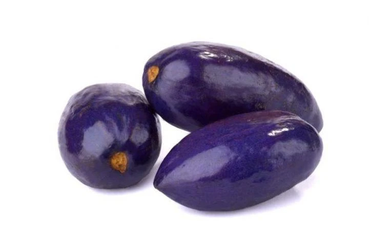 SAFOU / PRUNE AFRICAINE